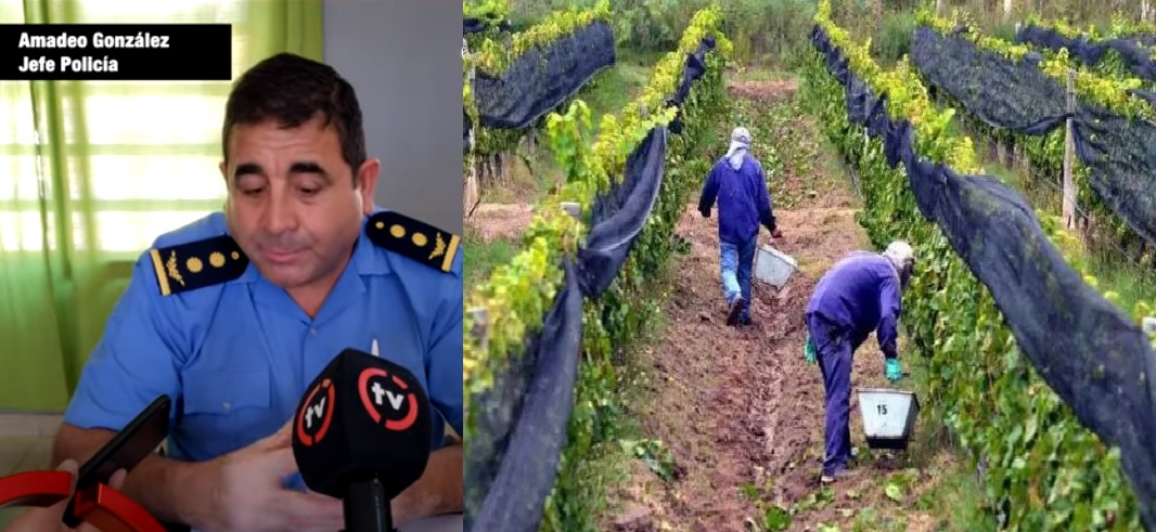 CHILECITO: Policía realiza operativos de control a trabajadores golondrina, que arriban para la cosecha