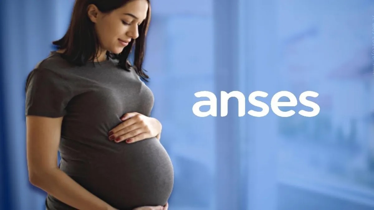 Asignación por Maternidad: Requisitos