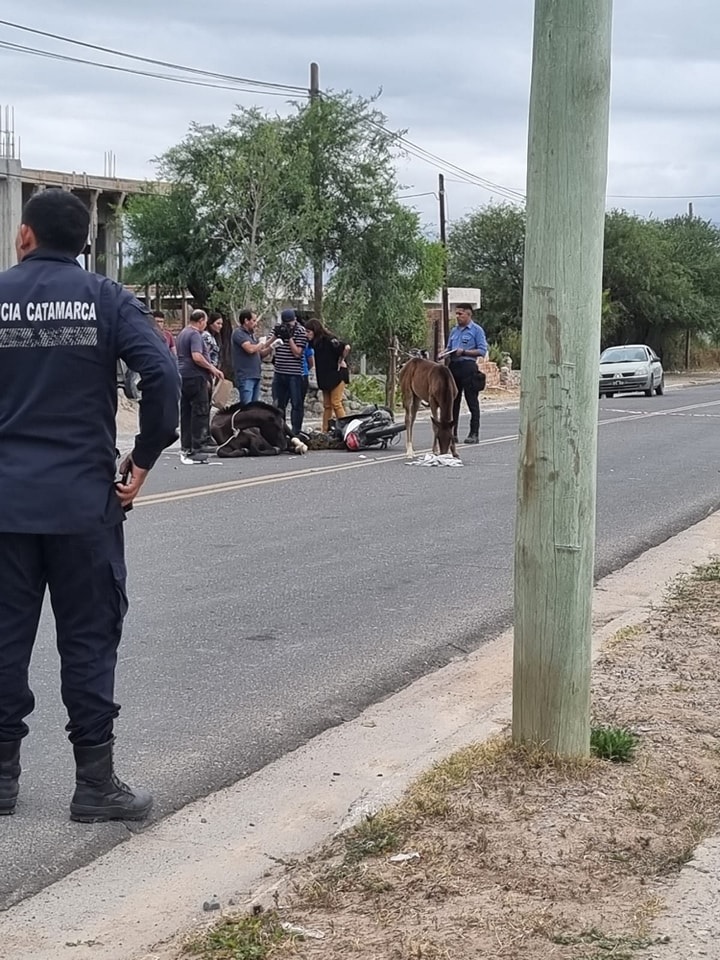 CATAMARCA: Murió tras chocar con un equino