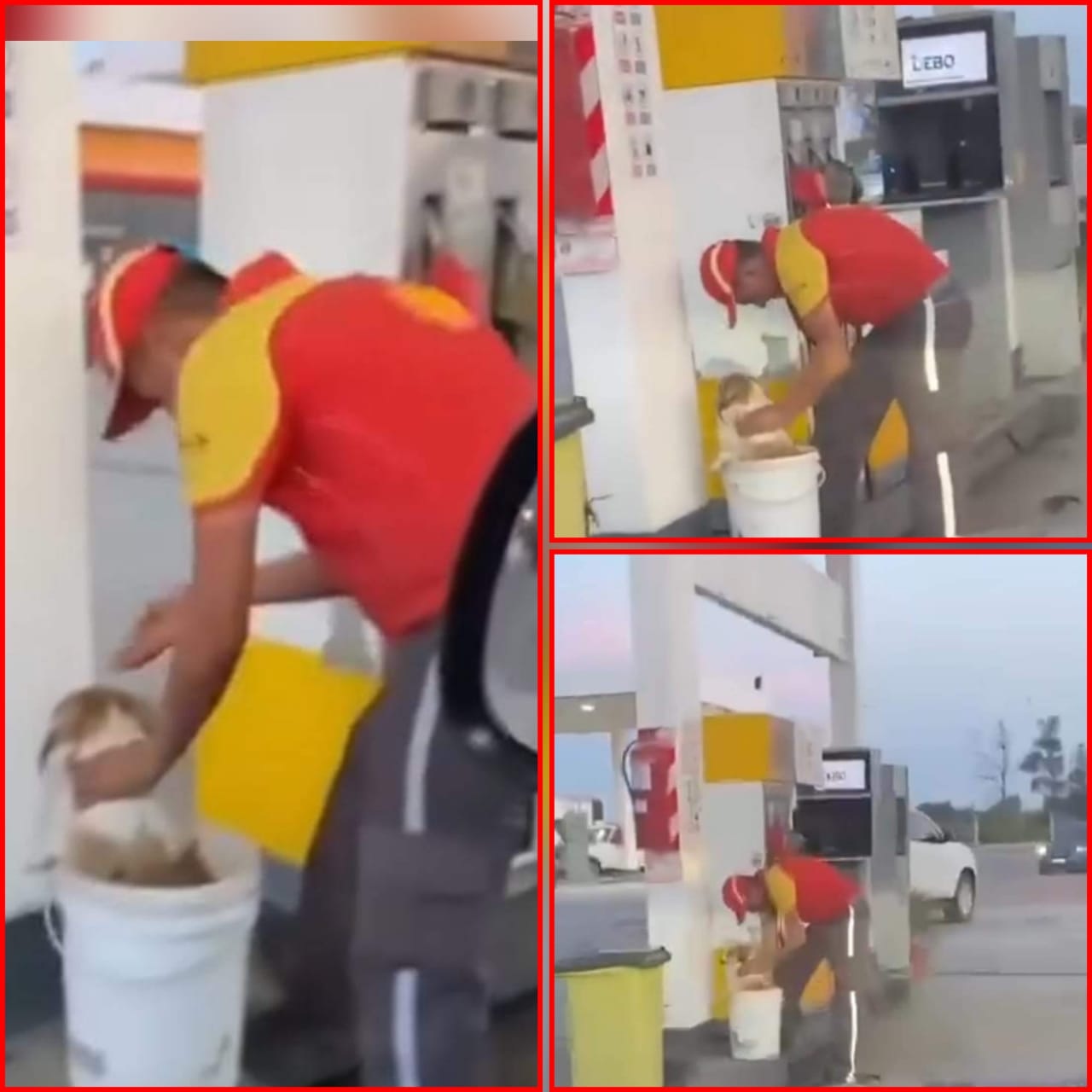 EJEMPLO: Empleado de estación de servicio lo alivió de lo más de 40° c de calor al perrito