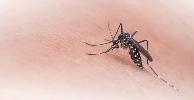CATAMARCA: Se detectó el primer caso IMPORTADO de Dengue en la Provincia
