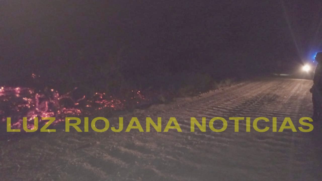 INCENDIO EN RUTA NACIONAL 74 EN UNA FINCA DE VICHIGASTA 