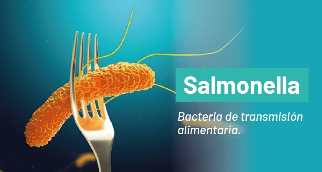 CATAMARCA: Se confirmaron 55 casos de salmonella 
