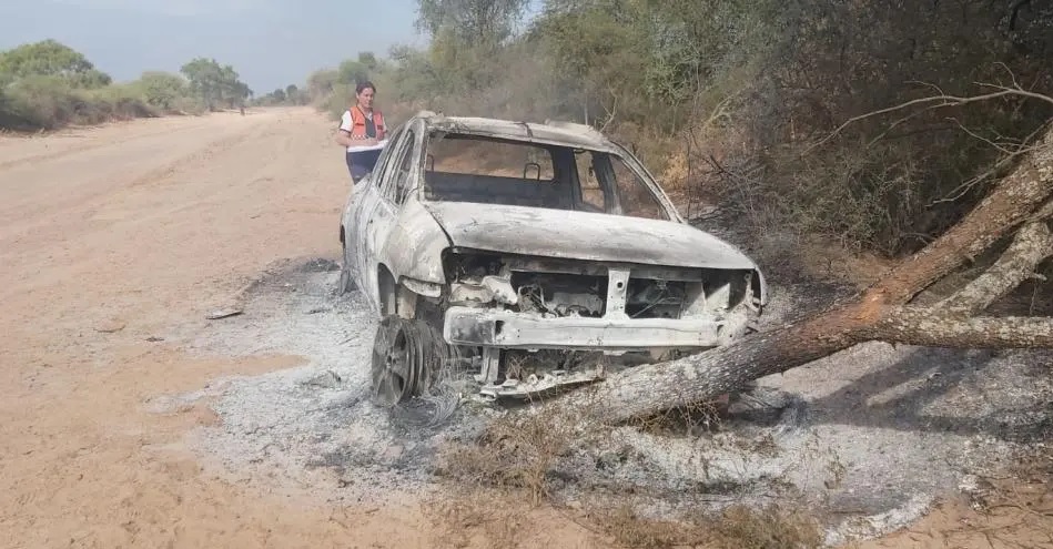 Un santiagueño murió calcinado al chocar su camioneta: creen que fue por un ataque de abejas