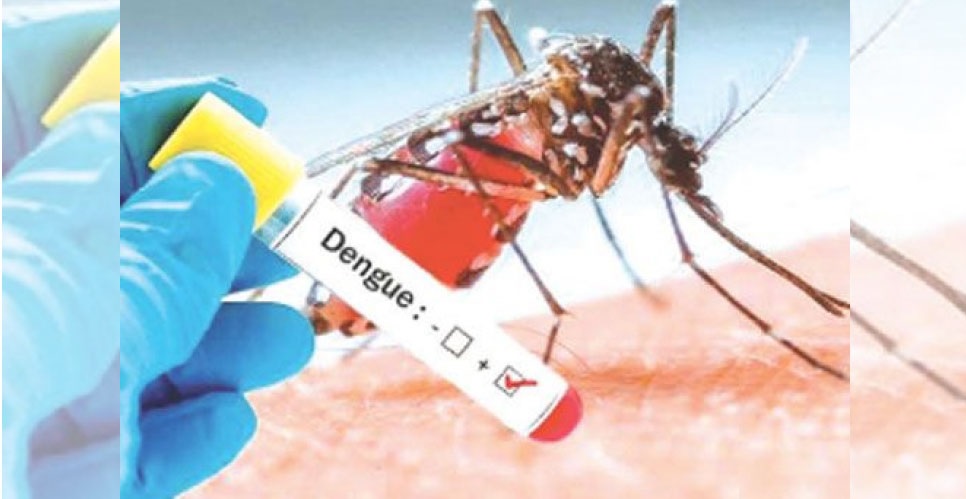 Reporte epidemiológico semanal N° 3: Situación del Dengue
