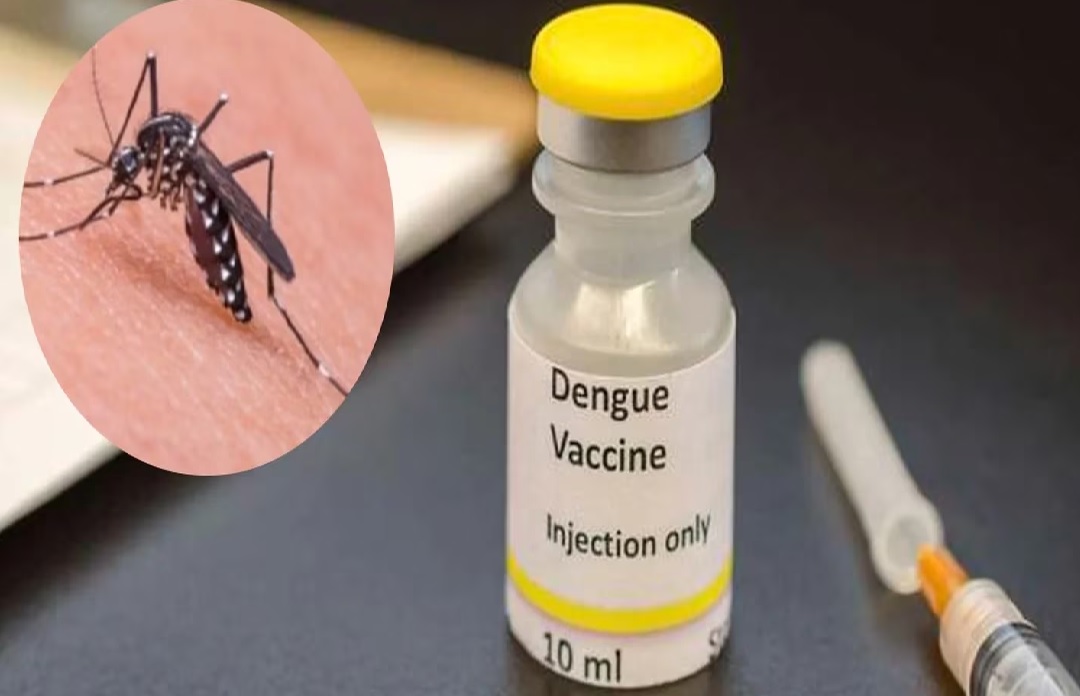 ANMAT analiza una vacuna japonesa contra el dengue