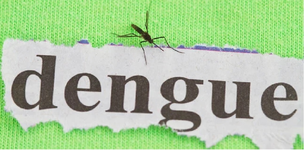 Dengue: confirman la muerte de una nena de 6 años en Tucumán