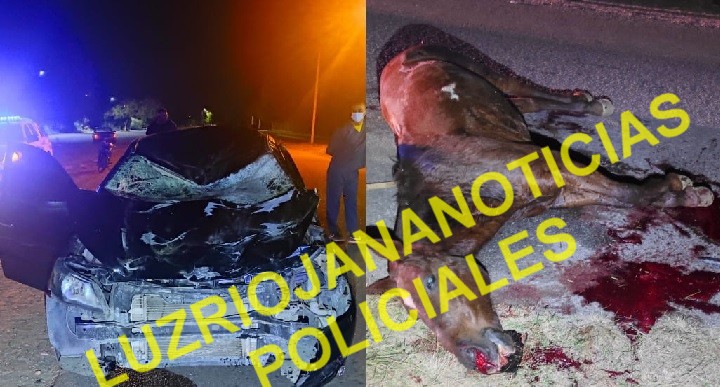 CHILECITO: ACCIDENTE POR RUTA PROVINCIAL 14 DONDE UN AUTOMOVIL COLISIONA CON UN ANIMAL EQUINO 