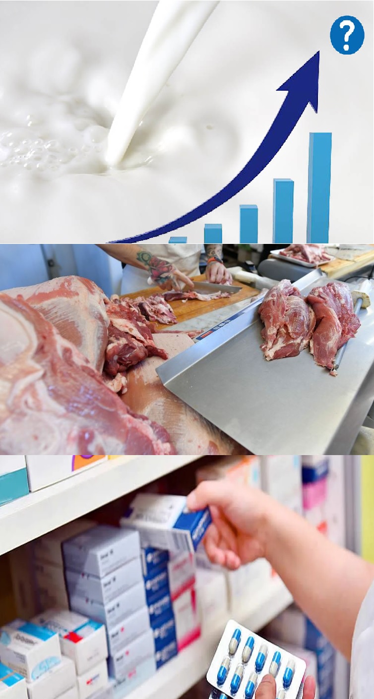 CARNE, LECHE Y MEDICAMENTOS: FUERTE CAIDA EN LAS VENTAS 