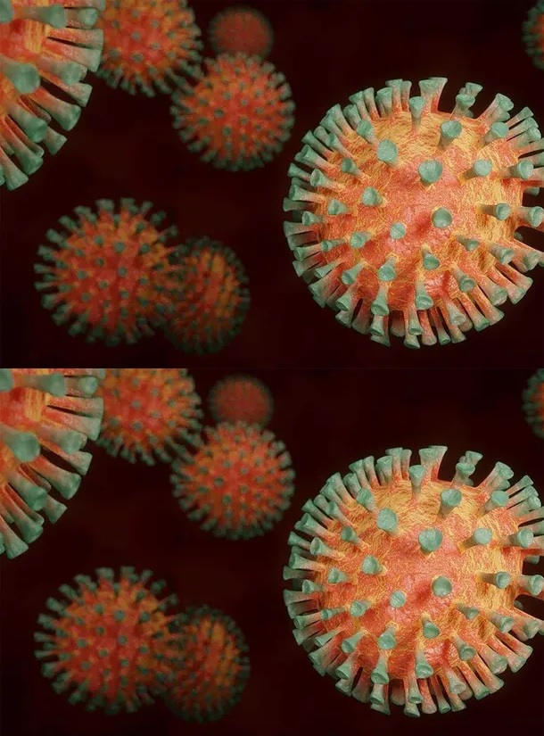 ¿Nueva pandemia a la vista? Qué es el virus B que ahora preocupa al mundo