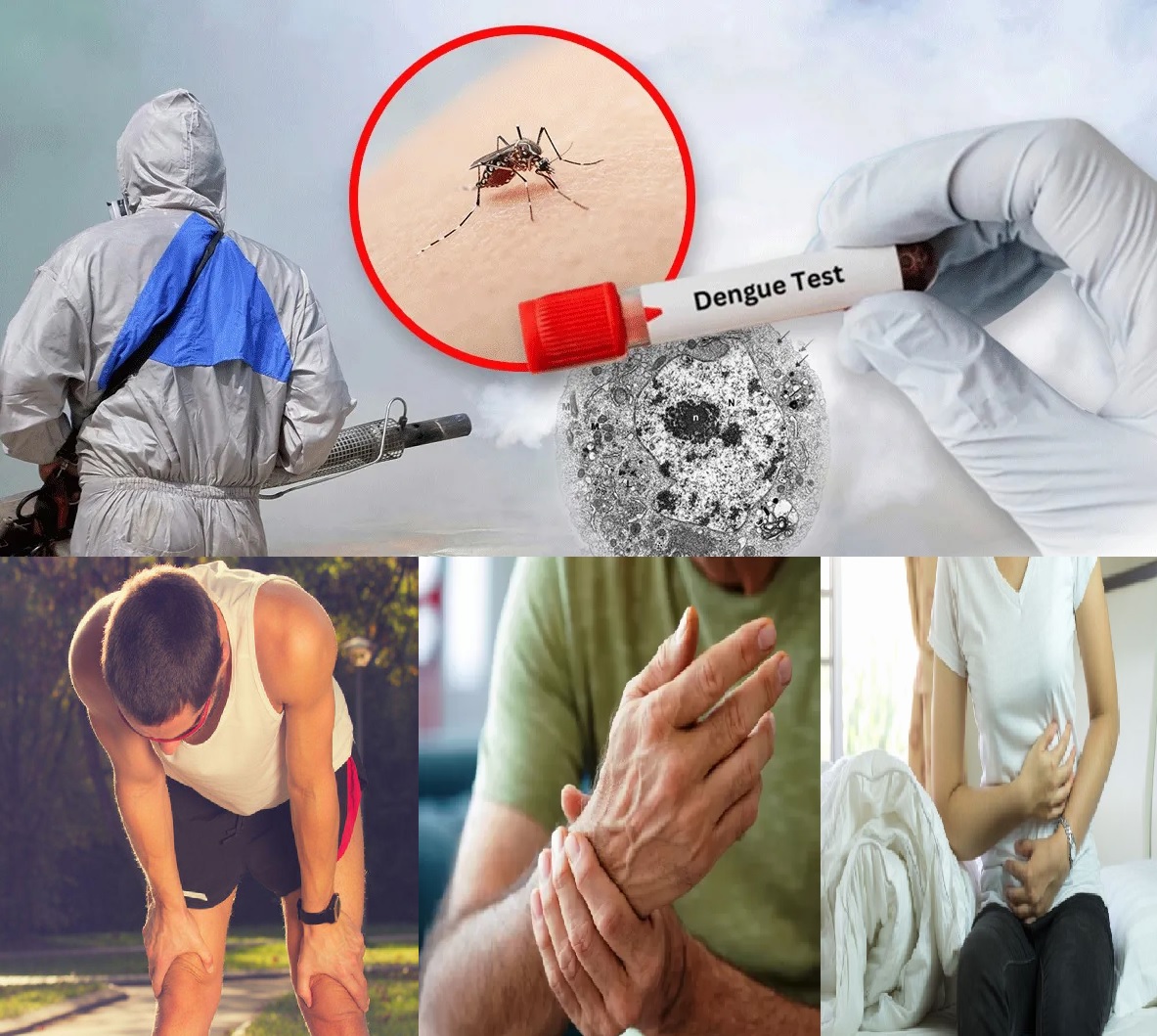 POSDENGUE:  ¿Cómo retomar el ejercicio físico y sentirnos en forma?