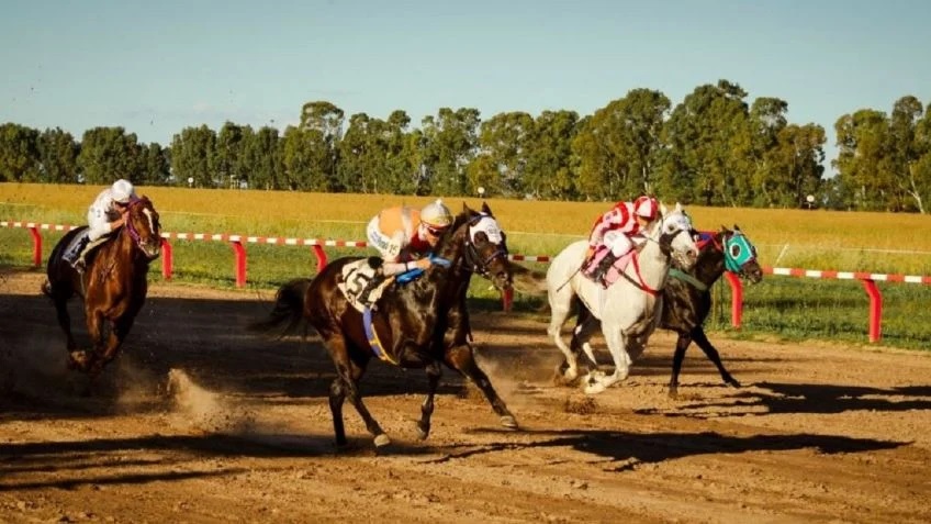 MISIONES: Apostó en una carrera de caballos, no pagó la deuda y lo mataron