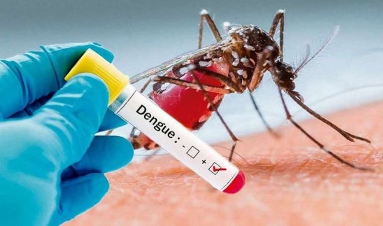 El Ministerio de Salud informa que desde el 28 de abril al 1 de mayo se confirmaron 9 nuevos casos de Dengue