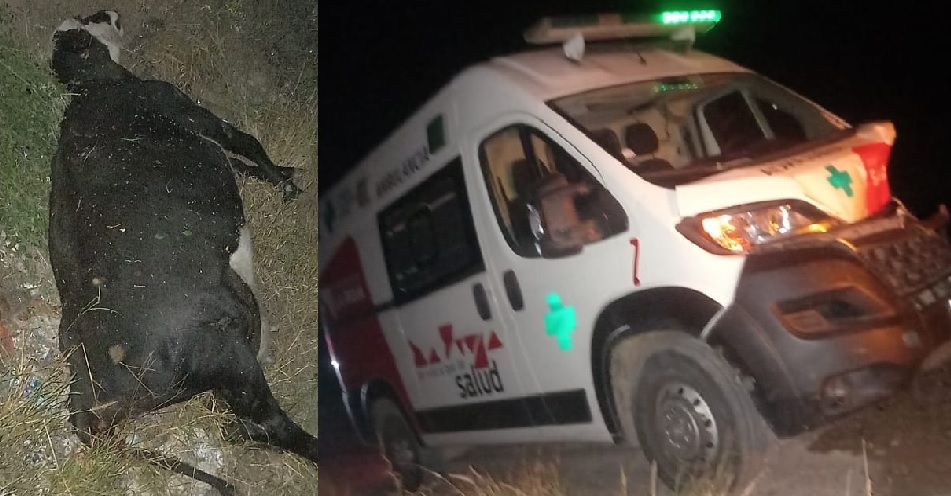CHEPES: Ambulancia del hospital Luis Pasteur protagonizó un accidente con un animal suelto en la ruta