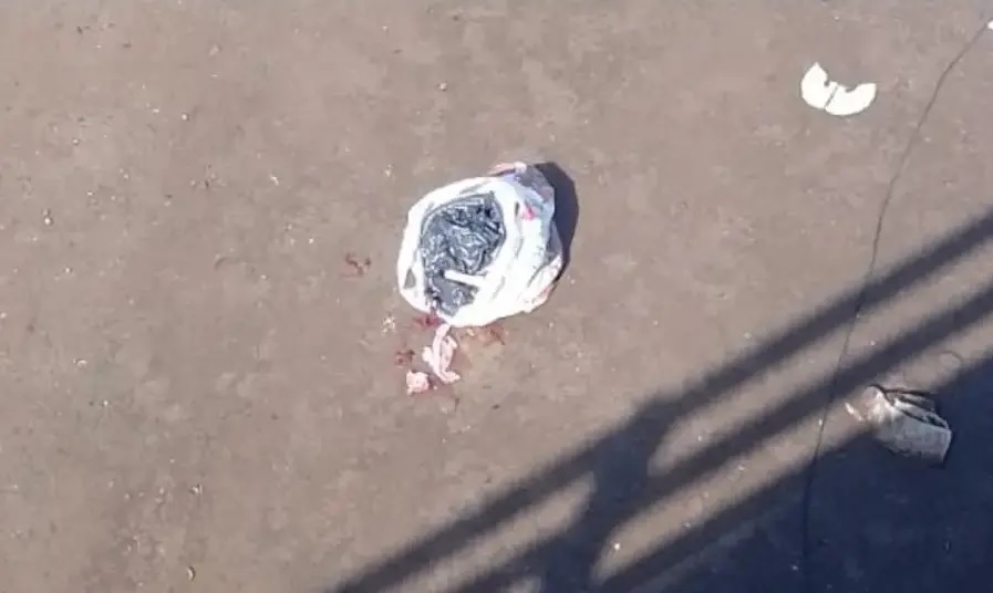 Asfixiaron y arrojaron a la basura a un bebé de apenas dos horas de vida
