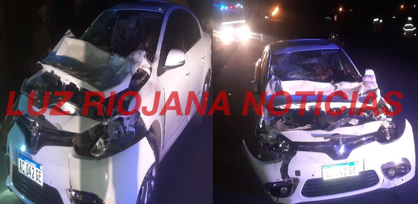 CHILECITO: Otro accidente por animal suelto en la ruta