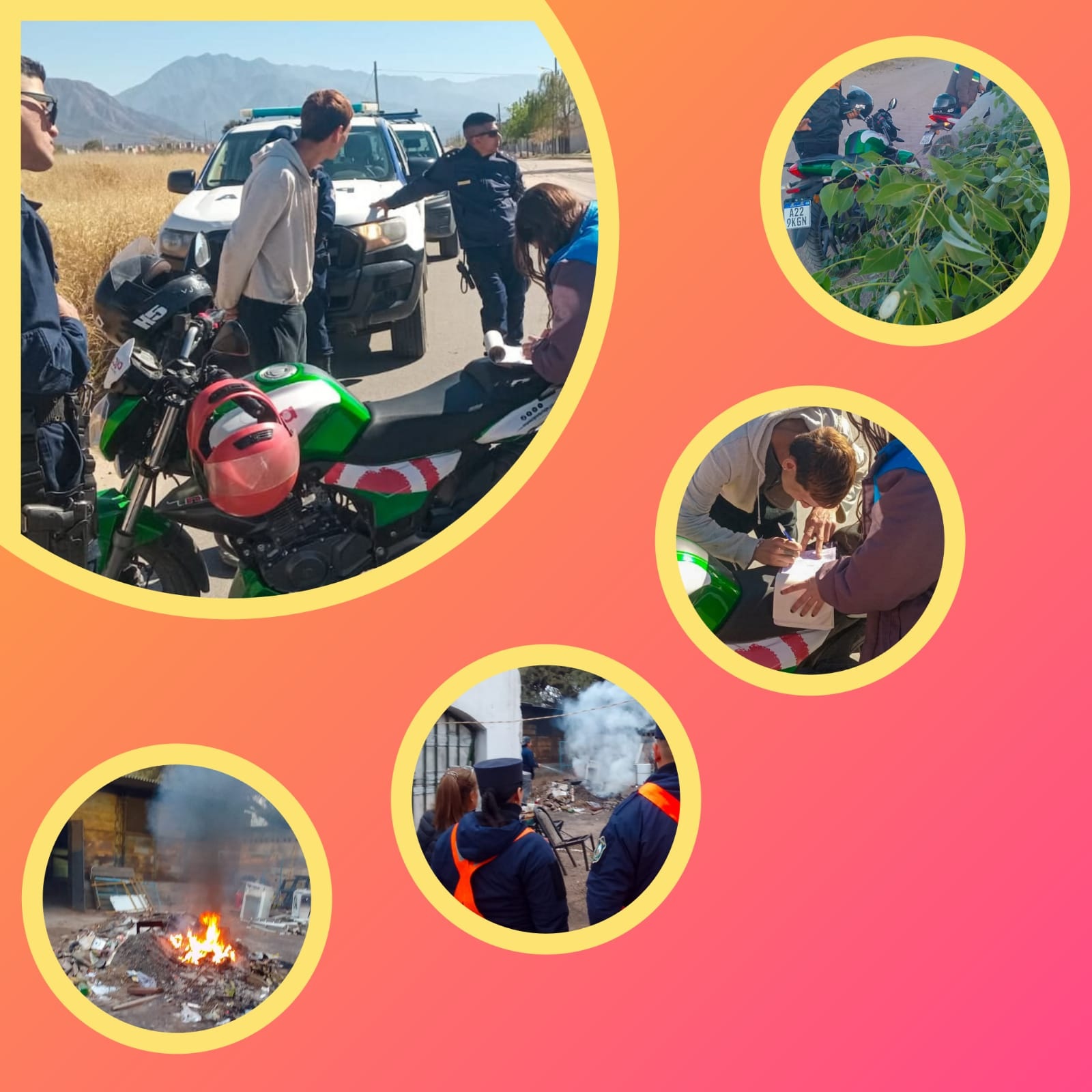  VECINOS IRRESPONSABLES FUERON MULTADOS POR ARROJAR RESTOS DE PODA Y ANIMALES MUERTOS 