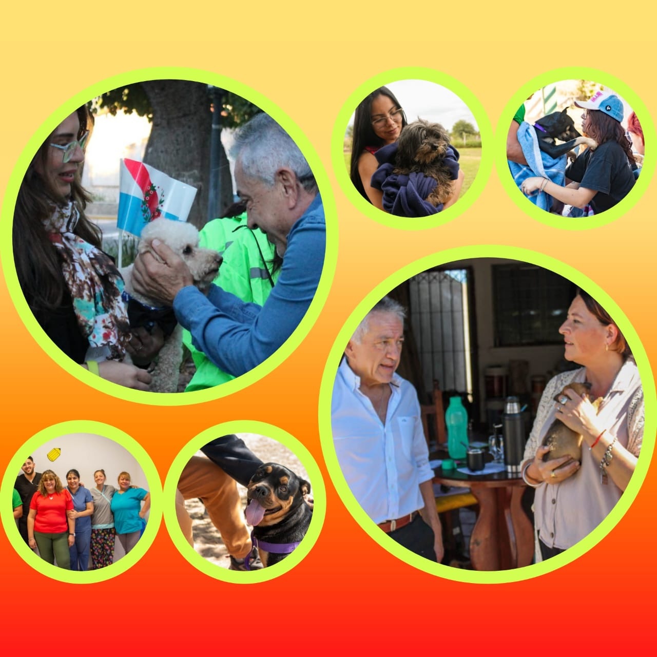 EL MUNICIPIO BRINDA SERVICIO GRATUITO DE VACUNACIÓN Y DESPARASITACIÓN DE PERRITOS Y GATOS