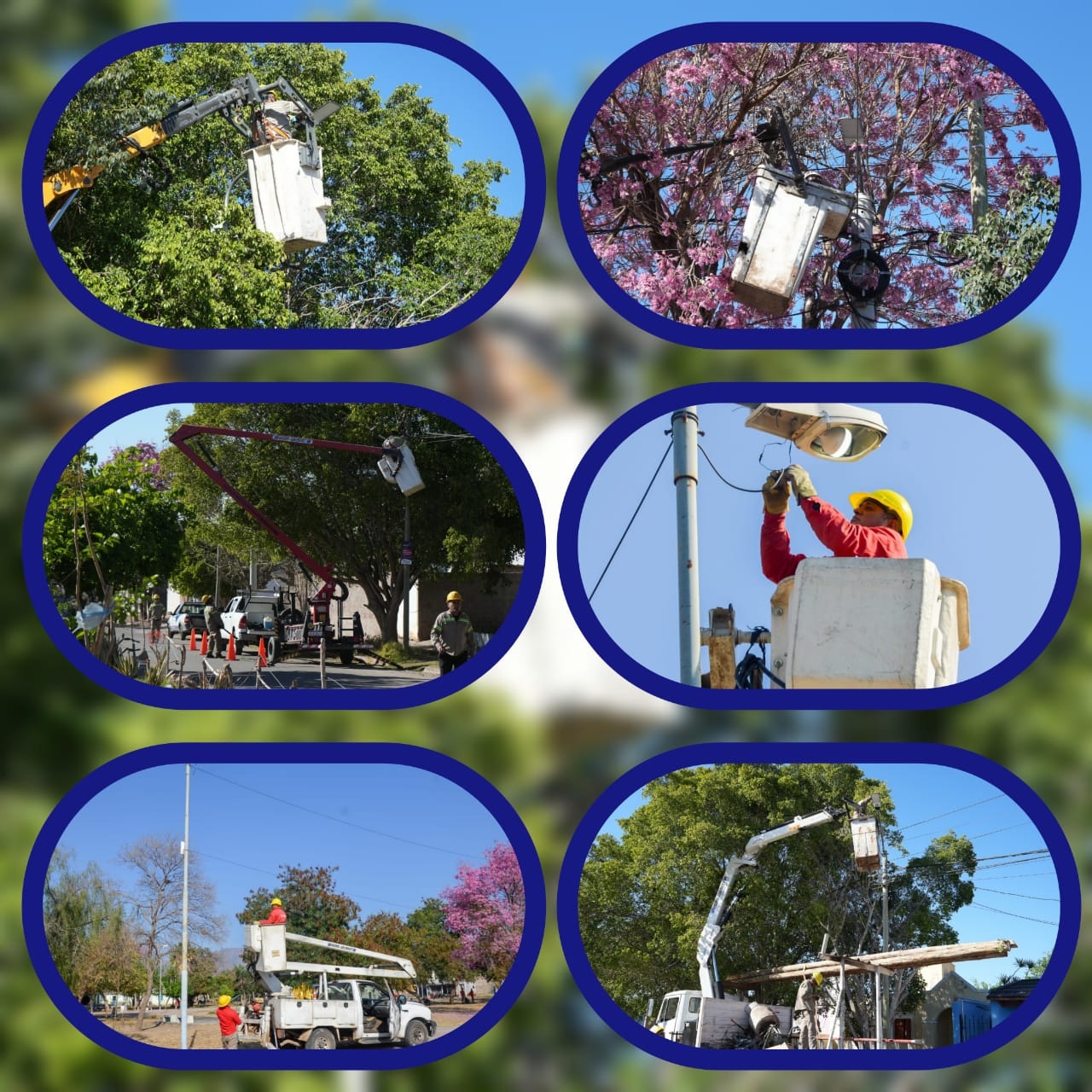 RENOVACIÓN LUMINARIAS: EL MUNICIPIO Y EDELAR AMPLÍAN LAS TAREAS EN LA ZONA SUR