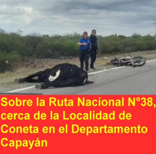 CATAMARCA: JOVEN MOTOCICLISTA CHOCÓ CON UN ANIMAL 