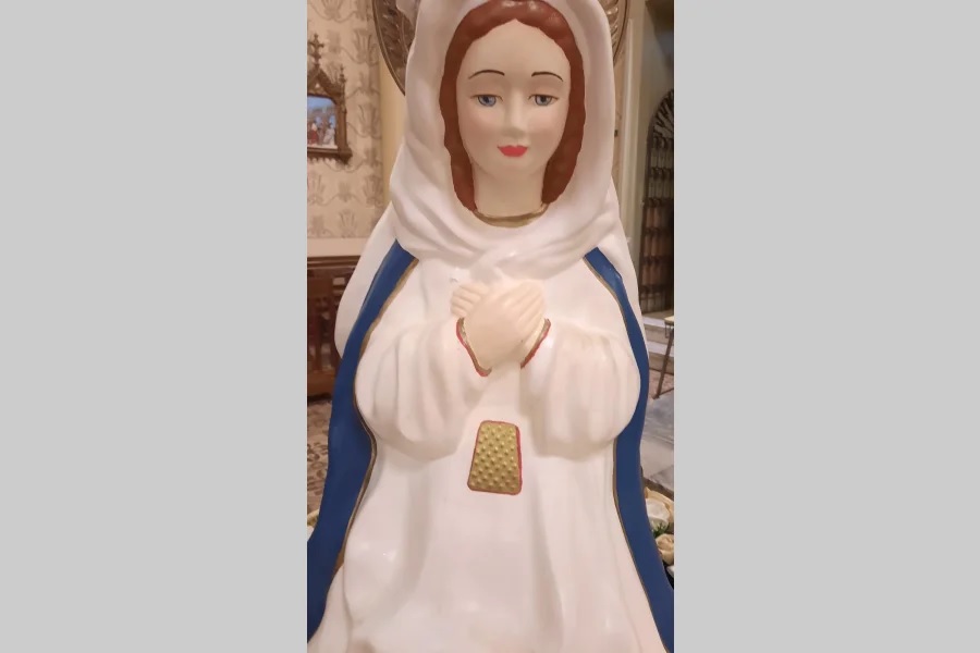 Robaron el rosario de la Virgen de Salta que está de visita en la Iglesia Catedral