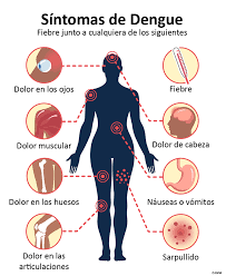 POR AHORA NO SE REGISTRAN CASOS DE DENGUE EN LA PROVINCIA