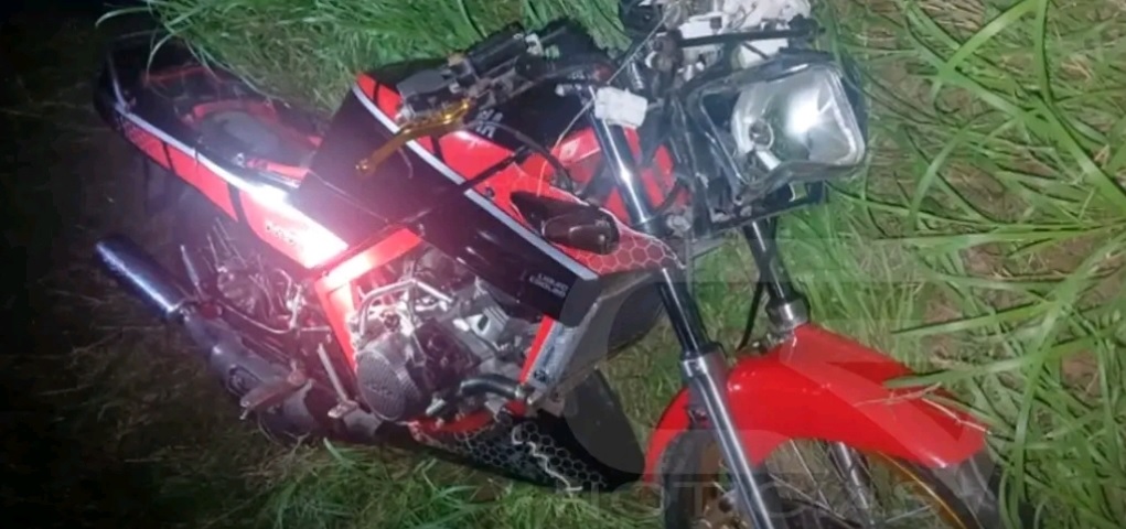 DOS MOTOCICLISTAS CHOCARON CON UN ANIMAL: UNO SUFRE LESIONES DE CONSIDERACIÓN