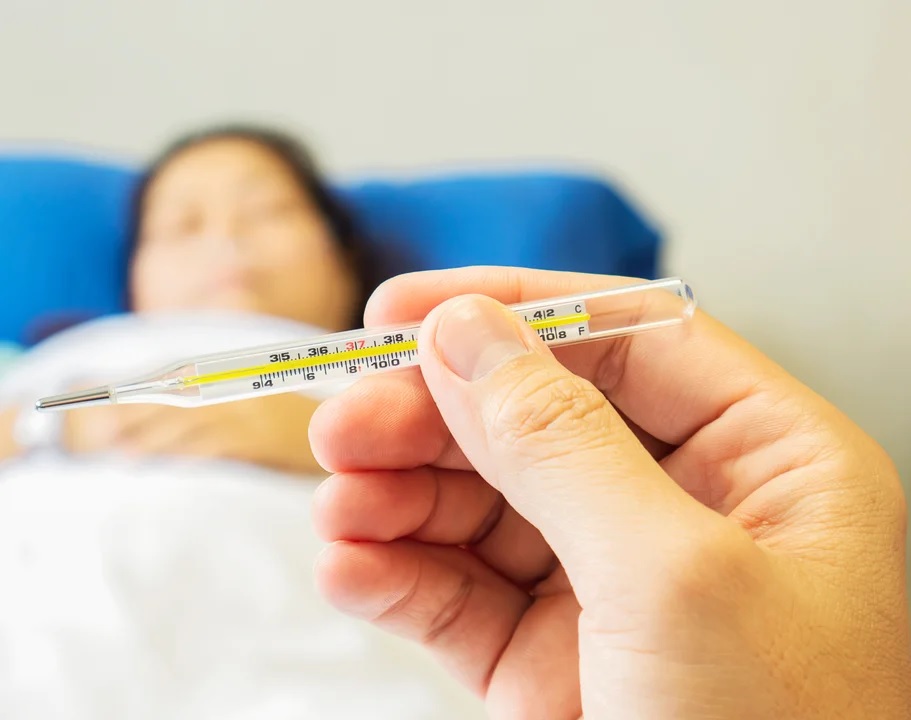 Fiebre amarilla: cómo se contagia